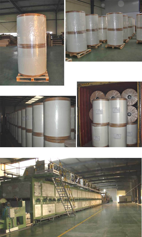 FIBERGLASS SURFACING TISSUE